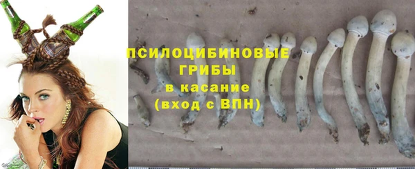 2c-b Михайловка