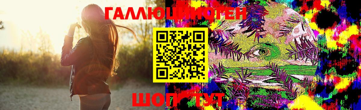 как найти закладки  Новоалександровск  Псилоцибиновые грибы Magic Shrooms 