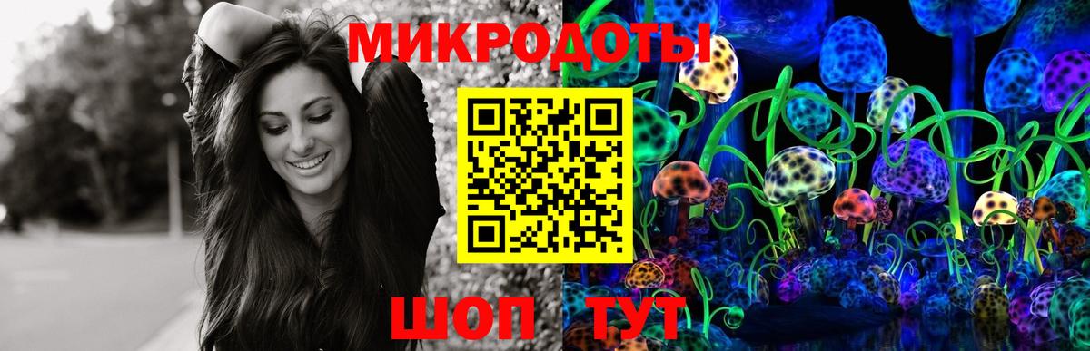 Псилоцибиновые грибы Cubensis Новоалександровск